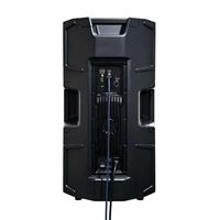 Haut-parleur portable professionnel actif de classe D à bi-amplification ART915-A en plastique