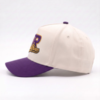 Casquette de baseball personnalisée de haute qualité avec logo brodé en relief, chapeau en sergé de coton bicolore, fabricant de marque privée