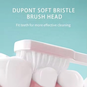 <span class=keywords><strong>Cepillo</strong></span> de <span class=keywords><strong>dientes</strong></span> eléctrico sónico barato listo para enviar con cerdas suaves y baterías secas - Product Image 2