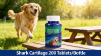 Complément de calcium pour chiots et chatons avec vitamine D pour la croissance des os et des dents, le développement musculaire, la force, l'énergie, la santé des articulations et l'absorption quotidienne.