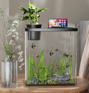 <span class=keywords><strong>3</strong></span>ガロン超透明ガラス水槽、リムレス低水族館 - Product Image 5