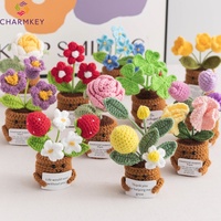 Mini pot de fleurs en crochet inspirant, jouet en crochet positif, pot de fleurs en crochet avec cartes positives