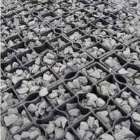Approvisionnement direct d'usine en gros pavés en plastique noir grille de paddock pour chevaux matériau HDPE