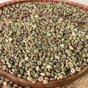 <b>Bean</b> Coffee Green Robusta Size 16 100% Raw Coffee <b>Beans</b> Use in Industrial Coffee Roasting 95% Maturity Jute <b>Bag</b> - Product Image 6