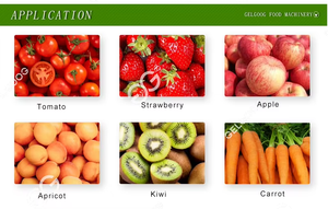 เครื่องทำซอสพริกหวานแบบไทย, เครื่องทำซอสพริกไทยดำ - Product Image 4