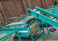 Machine de tri des dattes / Machine de tri des palmiers à dattes des Émirats arabes unis / Machine de classement des dattes