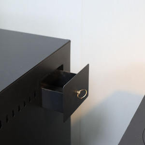 <span class=keywords><strong>Cheminée</strong></span> à bois autoportante en acier au design moderne avec four à haute efficacité pour les hôtels et les villas - Product Image 3