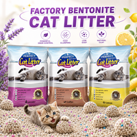 Litière pour chats en bentonite écologique en gros, agglomération rapide, faible poussière, contrôle des odeurs pour toilettes pour chats