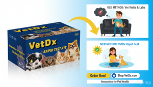 전문 검사 연구소 제조업체 수의 진단 기기 고양이 칼리코바이러스 항원 FCV Ag 칼리키 테스트 (고양이용) - Product Image 6