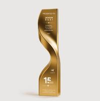 Trophée en métal en forme de vague créative, personnalisé pour les employés de l'entreprise, réunion annuelle, prix d'entreprise, médaille de reconnaissance commémorative