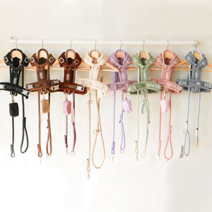 Set di Imbracatura e Guinzaglio per Cani Multicolore, Accessori per Animali Domestici, Regolabile per Uso Esterno - Product Image 1