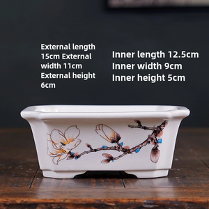 <span class=keywords><strong>Vasi</strong></span> per Bonsai <span class=keywords><strong>in</strong></span> <span class=keywords><strong>Ceramica</strong></span> Ecologici, Smaltati Bianco-Blu con Fori di Drenaggio, Resistenti, <span class=keywords><strong>Piccoli</strong></span> <span class=keywords><strong>Vasi</strong></span> da Interno per Piante e Fiori - Product Image 6