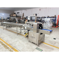 Machine d'emballage de sacs à oreiller Langtai pour mini-glaces, biscuits, bonbons, en-cas, emballage en flux avec imprimante de date