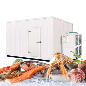 Ruang Freezer Walk-In kapasitas besar kualitas tinggi untuk penyimpanan makanan toko ikan