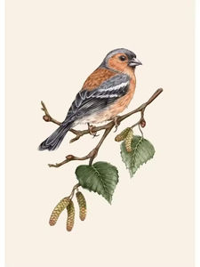 โปสเตอร์นอร์ดิกรูปนกภูมิทัศน์สไตล์วินเทจโกลด์ฟินช์พิมพ์ภาพติดฝาผนังสไตล์การออกแบบตกแต่งห้องนั่งเล่น - Product Image 6