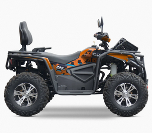 Motor de Aventura de Alta Gama de 300cc, 4 Tiempos, 17kW/6800r/min, Velocidad Máxima 60km/h - Product Image 2