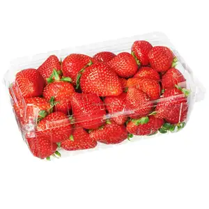 1磅草莓翻盖 (S1)/1磅草莓翻盖光滑墙
