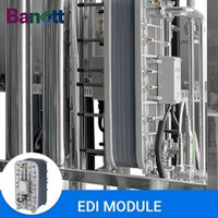 Module EDI 50L à circulation complète, unité à membrane échangeuse d'ions à fonctionnement stable pour machine commerciale de production d'eau pure de petite taille