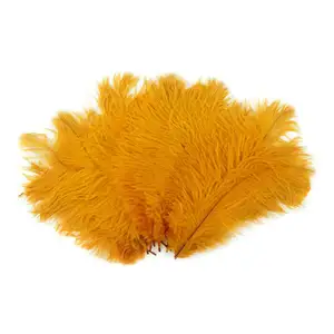 Home Wedding Decoration 50pcs Natural 8-10inch 20-25cm Ostrich Feathers Drabs