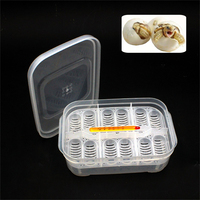 Boîte de transport d'œufs en plastique avec thermomètre, 12 alvéoles, écologique, pour incubateur d'œufs de geckos, serpents, lézards, tortues et reptiles