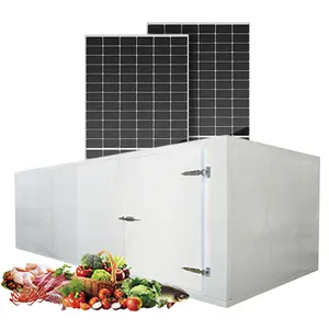 Solar Energy System for Cold Room Storage for Frozen Meat Vegetables Fruits for Hotels and Farms
