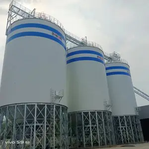 Silos de grãos de fundo plano de grãos de 2500 toneladas