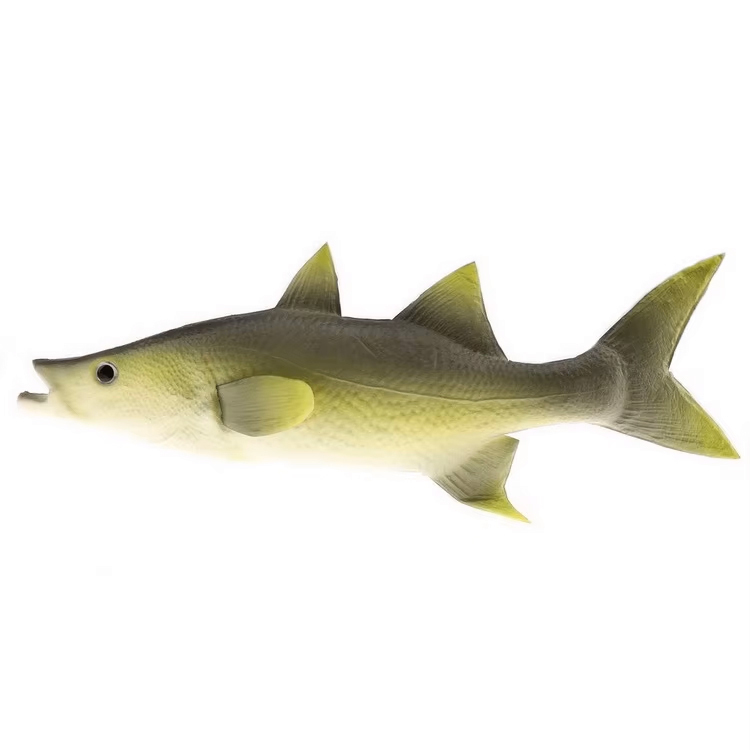 Sea Bass