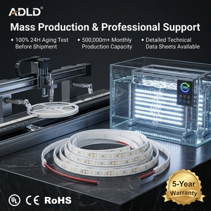 IP68 High Efficiency 120LEDs/m Flexible LED <b>Strip</b> Light 24V SMD 2835 3 Years Warranty Flexible LED Light <b>Strip</b> for Signage - Product Image 3