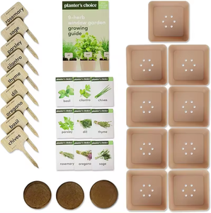 ערכת תבלין מקורה ערכת bonsai פרח זכוכית שתילה מתנה לילד-ילד ידידותי לילדים בבית משתלה לרצפה - Product Image 4