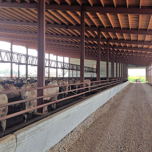 Cobertizos de almacenamiento al aire libre Hecho en China Portugal casas prefabricadas de lujo - Product Image 3