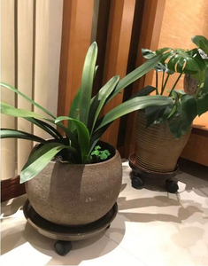 Porte-palette <span class=keywords><strong>de</strong></span> plantes, <span class=keywords><strong>support</strong></span> rond pour Pot <span class=keywords><strong>de</strong></span> fleurs, porte-palette, chariot, roulette avec roues universelles - Product Image 5