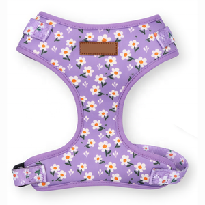 Benutzer definierter Name und Telefon nummer Personal isiertes Hunde geschirr Kein Zug zum Verhindern von Schleppen, Ziehen oder Ersticken - Product Image 3