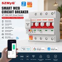 Interruptor de Circuito Inteligente SZMyQ 100A 4P WiFi Tuya Smart Life, Interruptor de Control Remoto para Automatización del Hogar Inteligente OEM