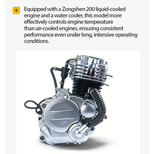 Triciclo de Gasolina DVIP, Motocicleta de Carga Pesada, Triciclo de <span class=keywords><strong>Gasoil</strong></span> de 3 Ruedas, 110CC, <span class=keywords><strong>para</strong></span> Desplazamientos Diarios - Product Image 5