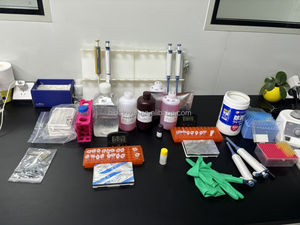 CE102-G 96T Kit de test IElisa aflatoxine M1 haute sensibilité pour noix de lait et test d'aflatoxine M1 pour usage en laboratoire - Product Image 6