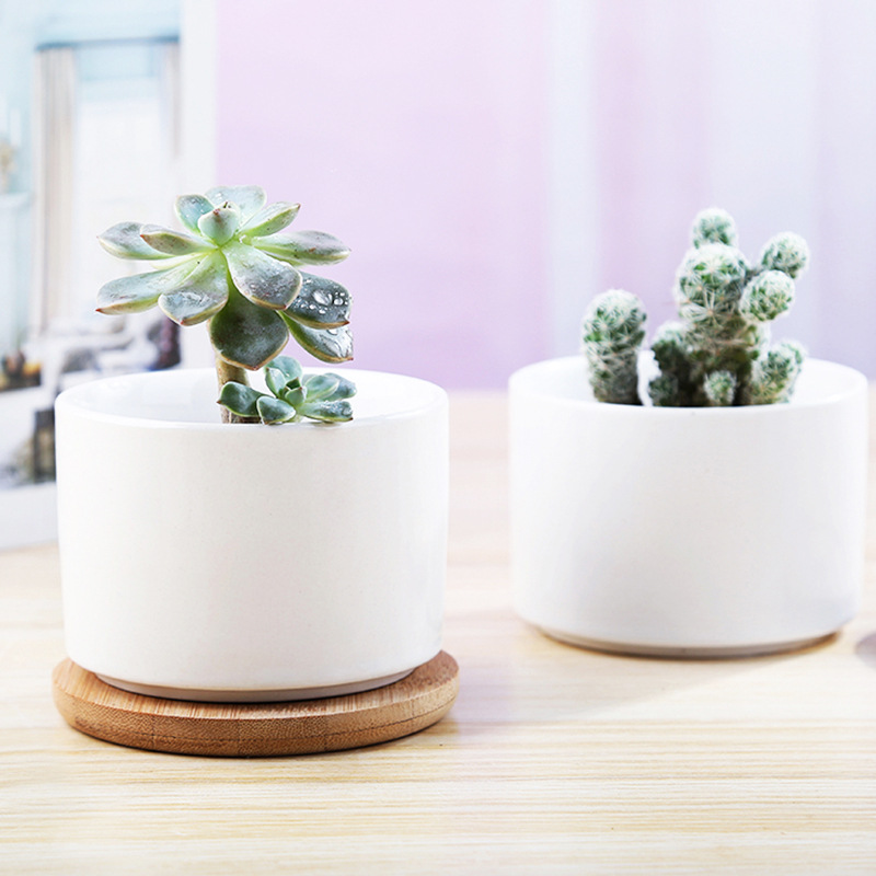 Hoye Crafts Cactus Plant Pots Wooden Decorative Ceramic Garden Pot White Ceramic Plant Pot