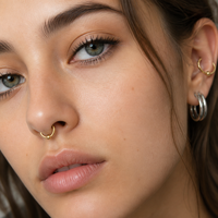 Anneau clicker à billes captive en acier inoxydable personnalisé, anneau segmenté articulé, or et argent, bijoux de corps pour septum et oreille, vente en gros OEM