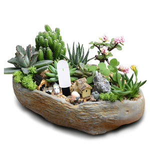 Cảm Biến Tưới Vườn Chất Lượng Cao Bộ Dụng Cụ Kiểm Tra Khi Nào Cần Tưới Nước Cảm Biến Tưới Vườn - Product Image 6