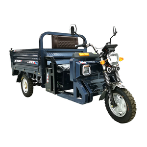 Triciclo de Carga de Tres Ruedas con Caja Abierta y Profunda, Motocicleta de Reparto para Adultos - Product Image 1