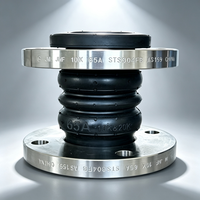 Éliminateurs de vibrations à double sphère DN200 à extrémités à brides, raccords flexibles à soufflets EPDM, joints de dilatation en acier inoxydable forgé