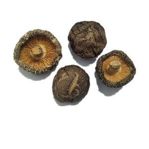 Mất Nước <span class=keywords><strong>Shiitake</strong></span> Nấm Chế Biến AD Khô Champignon Chất Lượng Tốt Nhất - Product Image 2