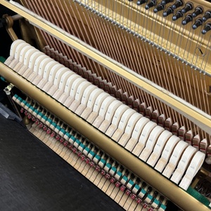 Piano U1A de Alto Rendimiento Usado, 121 cm, Dimensiones Estándar, Tapa de Abeto Sólido, para Recital y Pruebas de Grado - Product Image 4
