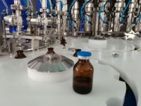 Machine d'embouteillage automatique de fabrication et de remplissage de bouteilles en verre à petite échelle 5000Bph avec norme GMP