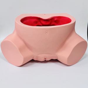 แบบจำลองการฝึกอบรมการดูแลสตรีตั้งครรภ์ขั้นสูง, แบบจำลองการสอนทางการแพทย์ - Product Image 2