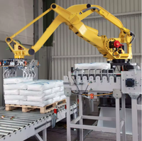 Palettiseur de sacs en plastique de 25 kg, palettiseur robotisé pour sacs lourds de 50 kg, fabricant de palettiseurs pour sacs en papier