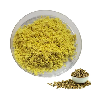 Whosale Kaempferia <strong>Extract</strong> 98% Kaempferol Powder Price Fructus Sophorae <strong>Extract</strong> - Product Image 1