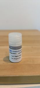Perles magnétiques tosyliques pour la biotechnologie industrielle, pour l'immobilisation covalente des biomolécules et le développement de procédés de laboratoire - Product Image 1
