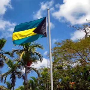 Promotional Custom World All Countries <b>Flag</b> Wholesale Polyester 3x5 Ft Bahamas <b>Flag</b> 90x150cm - Product Image 2