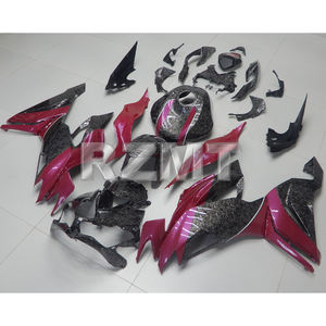 Kit de Carenado de Motocicleta, Piezas de Carrocería ABS Personalizadas para <span class=keywords><strong>Kawasaki</strong></span> <span class=keywords><strong>Ninja</strong></span> <span class=keywords><strong>636</strong></span> 2019-2023 ZX6R ZX636 <span class=keywords><strong>2022</strong></span> 2021, 2020, 1, 2, 1 - Product Image 2