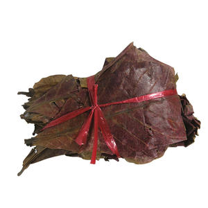 กล่องใส่สัตว์เลี้ยงใบไม้ปีนเขาใบไม้อัลมอนด์อินเดีย - Product Image 2